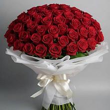 Букет 101 Красная роза Блэк Мэджик в Таврово