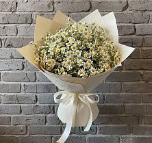 Букет цветов из:  Ромашки #REPLACE_PRED# Таврово