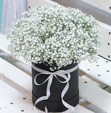 Цветочная композиция из Гипсофила в шляпной коробке #REPLACE_PRED# Таврово