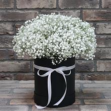 Цветочная композиция из Гипсофила в шляпной коробке в Таврово