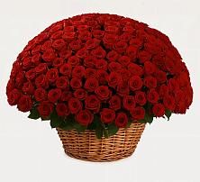 Премиум букет из: Розы в Таврово